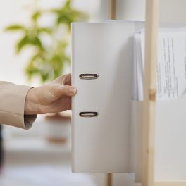 documentos-de-organizacion-de-adultos-jovenes